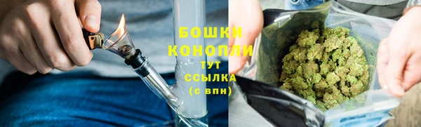 дурь Заводоуковск