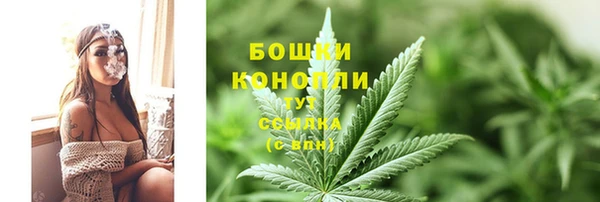 дурь Заводоуковск