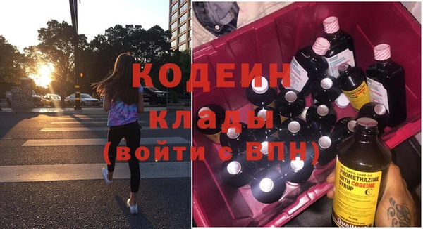 дурь Заводоуковск