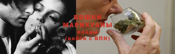 дурь Заводоуковск