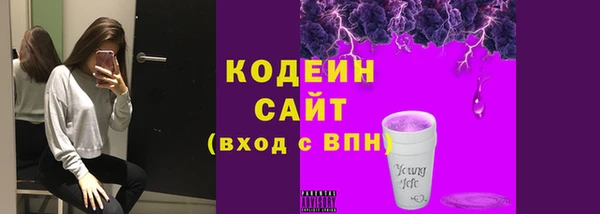 дурь Заводоуковск