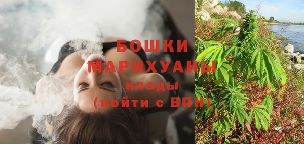 дурь Заводоуковск